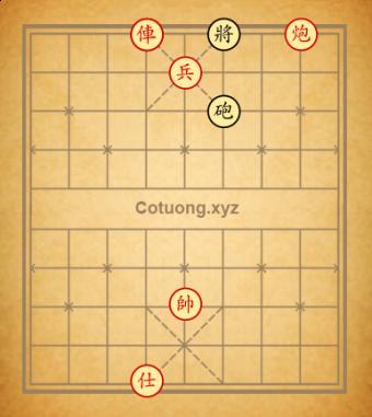 Vnguyen 220823