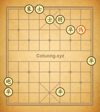 Chó con cắn đại