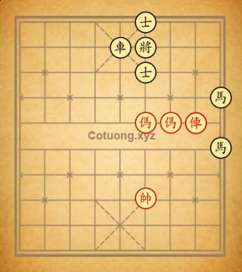 tàn số 9