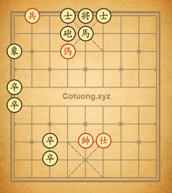 độc mã cầm vương