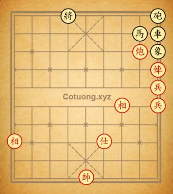tàn số 20