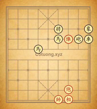 tàn số 41