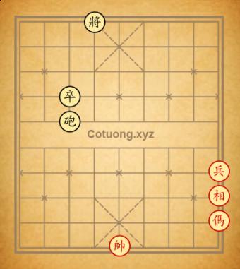 tàn số 81