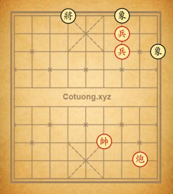 tàn số 82