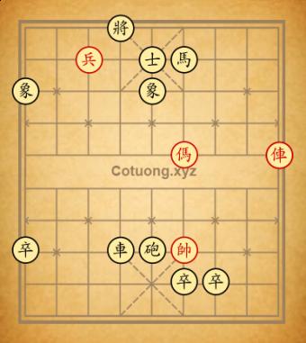 627ccf562549c