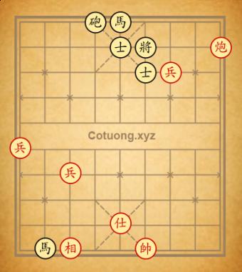 the co tan vui 16/01/2024