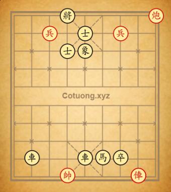 the co tan vui 17/01/2024