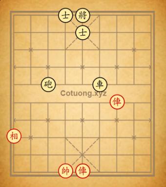 Co tuong co the vietnam