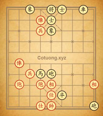 Cục 14: Dời hoa ghép cây