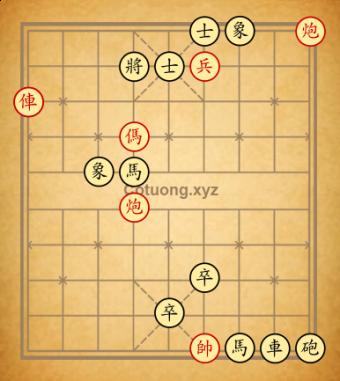 Trường 5