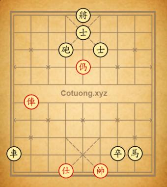 Trường 7