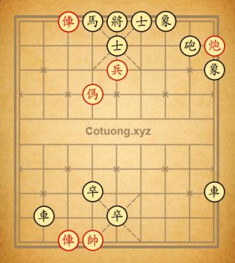 Trường 12