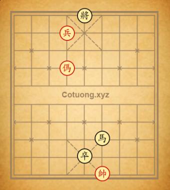 Trường 24