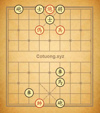 Trường 12xbt