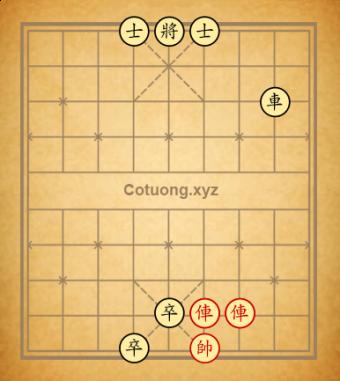 Trường 8vcxz