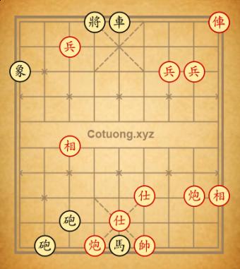 Trường 12pkhh