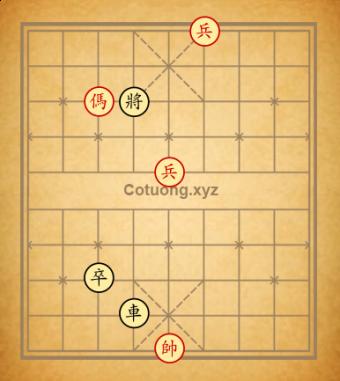 Trường 8nzw