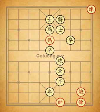 8 nước
