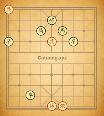 Trường 12pquy