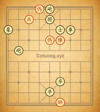 Trường 12plmcxd