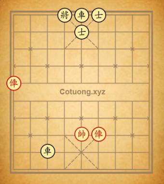 Trường 12!?/)(