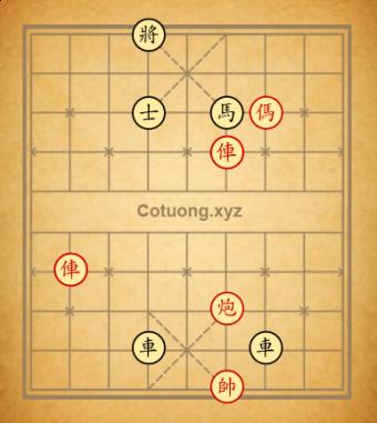 Trường 12poi lồn