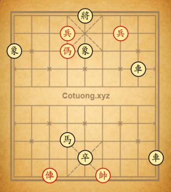 DOTE 7