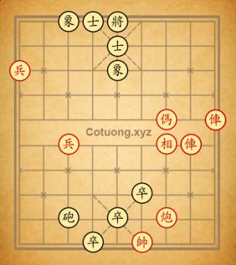 Cục 20