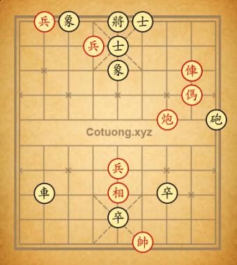 Cục 28