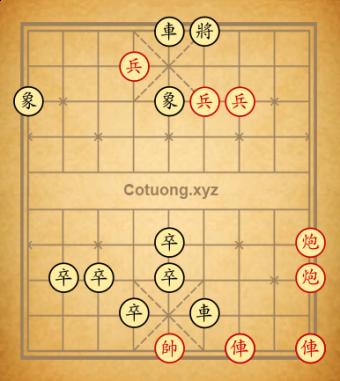 Cục 29