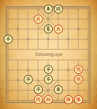 Taho12