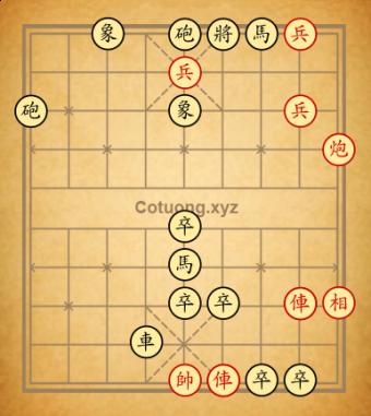 Cuc713