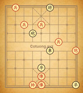Cục 049