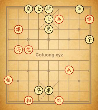 Cuc7638